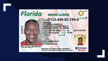 Check my drivers license status florida